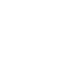 Healthcare Service   Providers