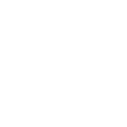 Pharmaceuticals & Related Segments